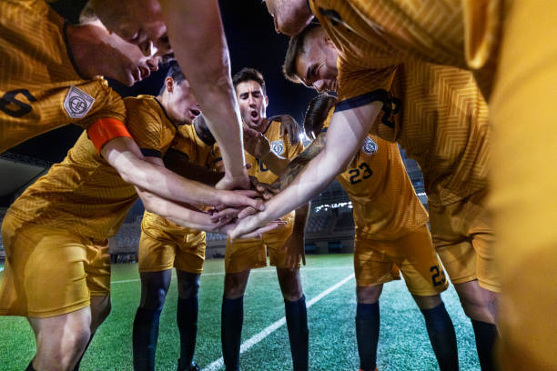 却兼具速度 却兼具速度